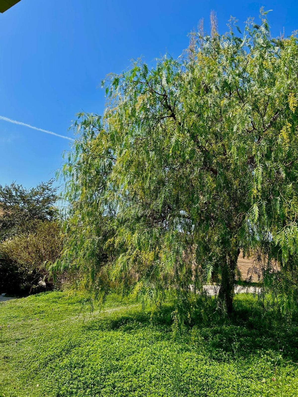 טרקיניה Agriturismo Podere Farnesiana מראה חיצוני תמונה